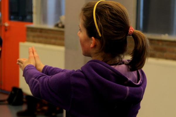 Workshop Stepping Dendermonde